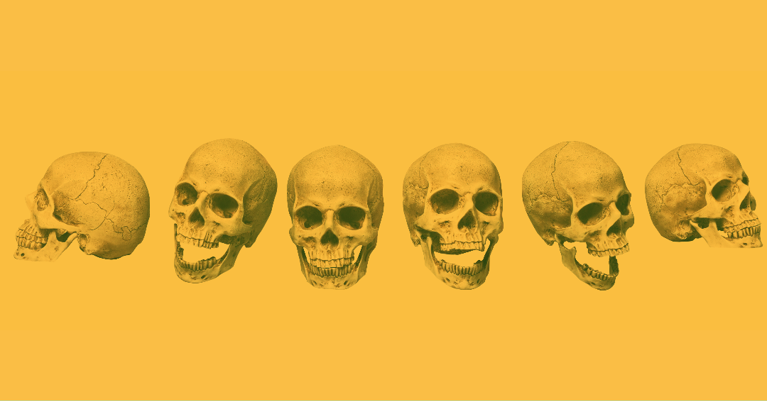 Skull Jewelry Skull Necklace