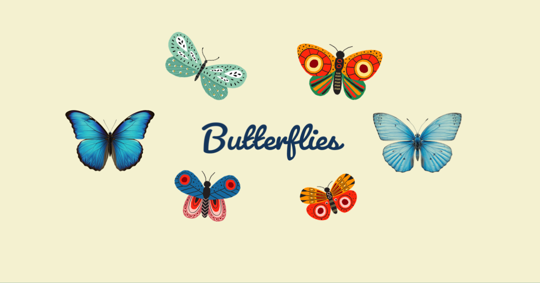 Butterfly Jewelry