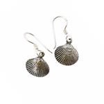 Silver Clammy Sea Shell Drop Earrings