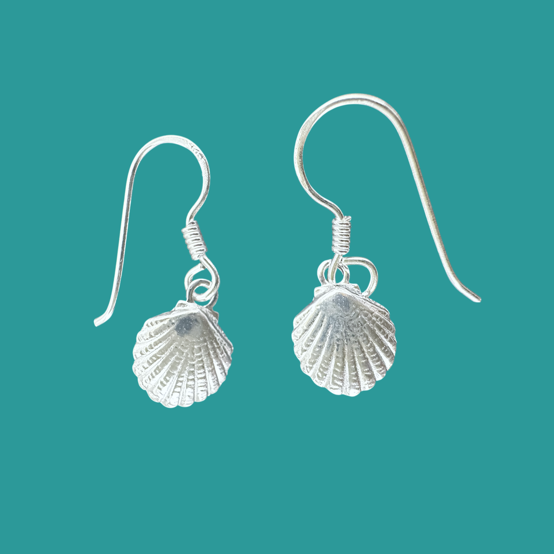 Small Sea Shell Drop Earrings