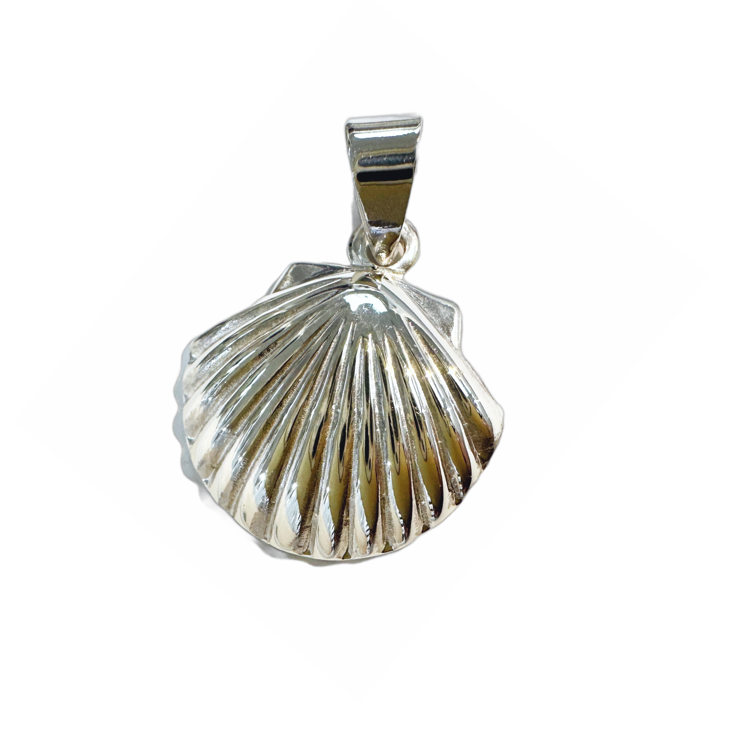 Scallop Sea Shell Pendant