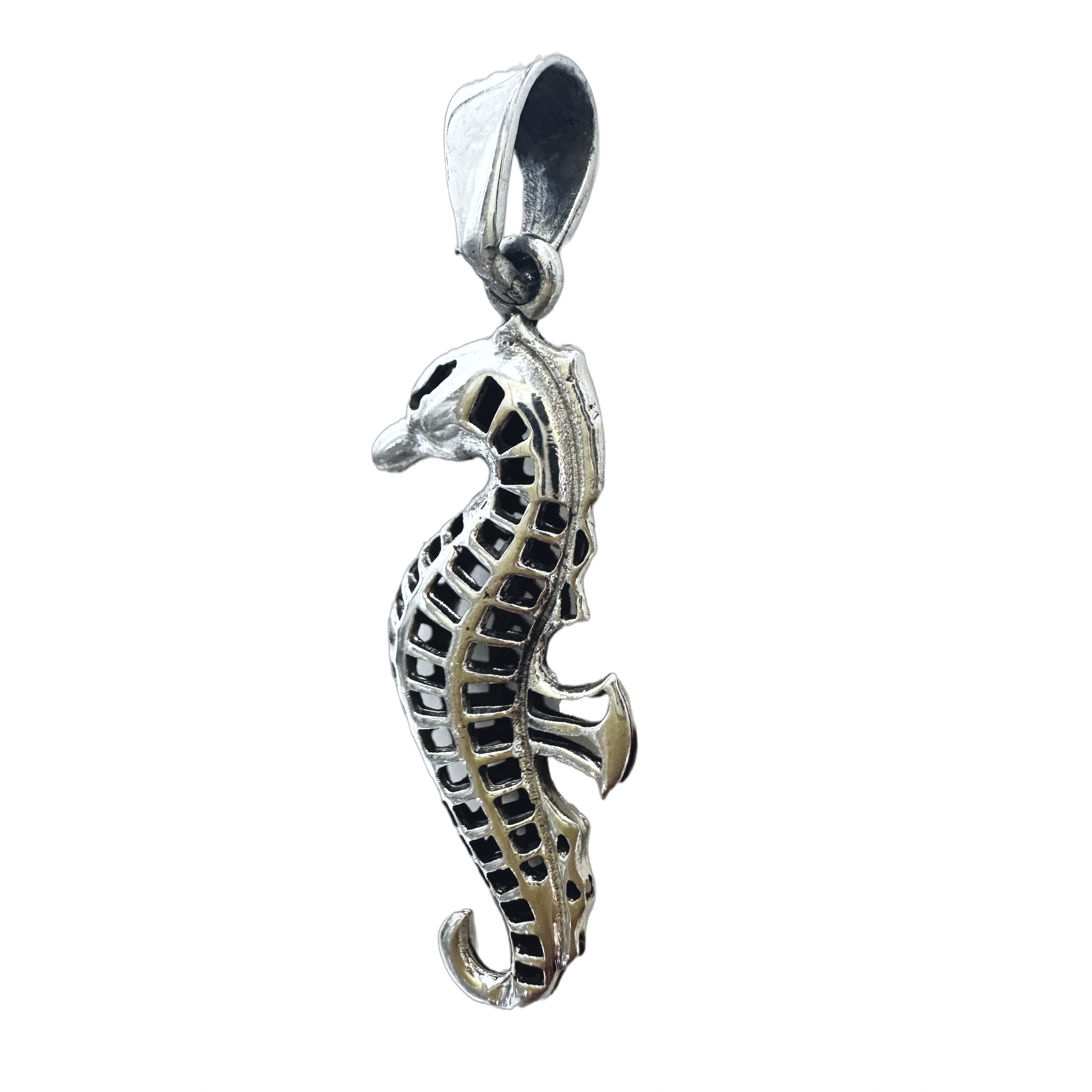Magic Seahorse Pendant