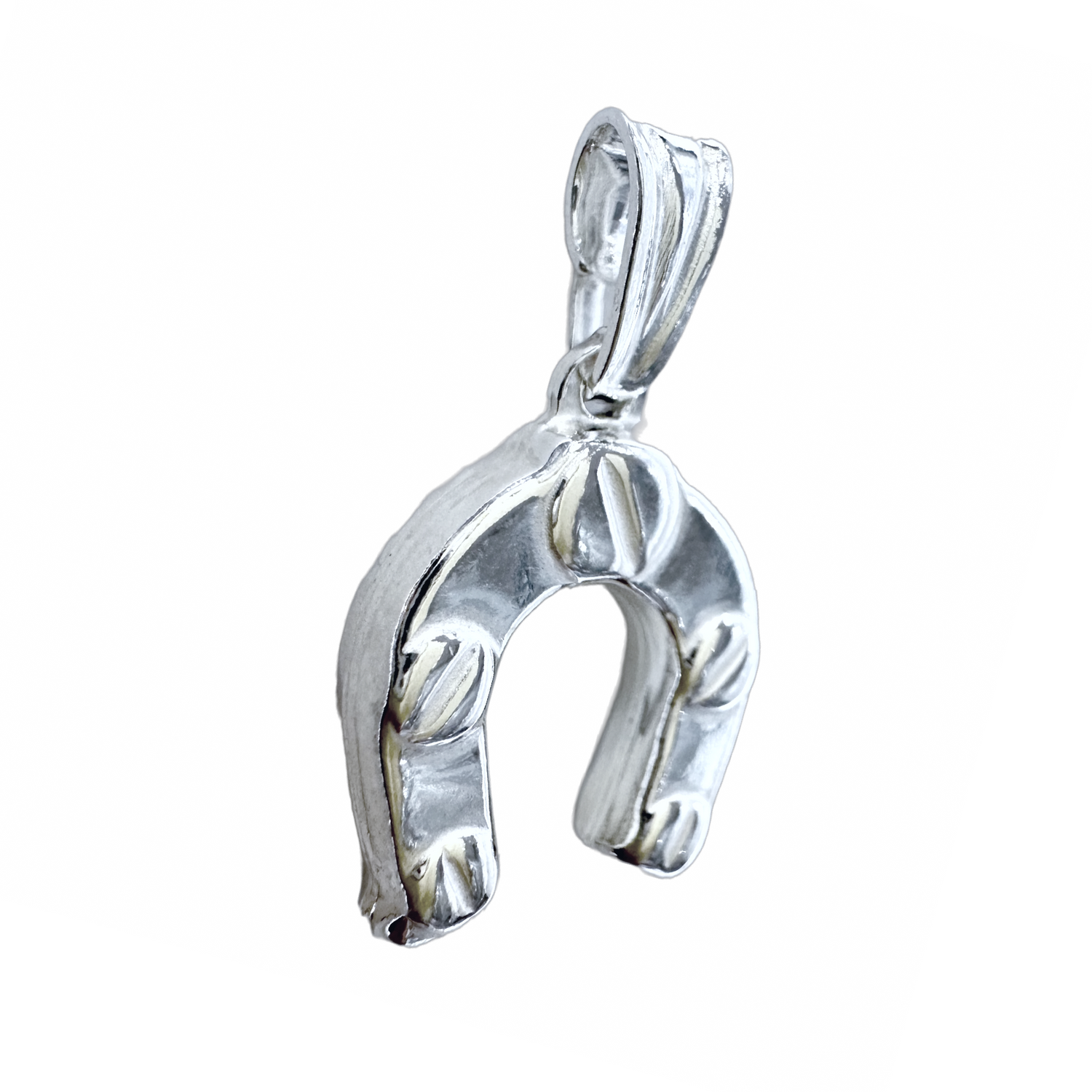 Big Horseshoe Pendant Necklace